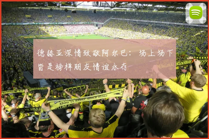 德赫亚深情致敬阿尔巴：场上场下皆是榜样朋友情谊永存