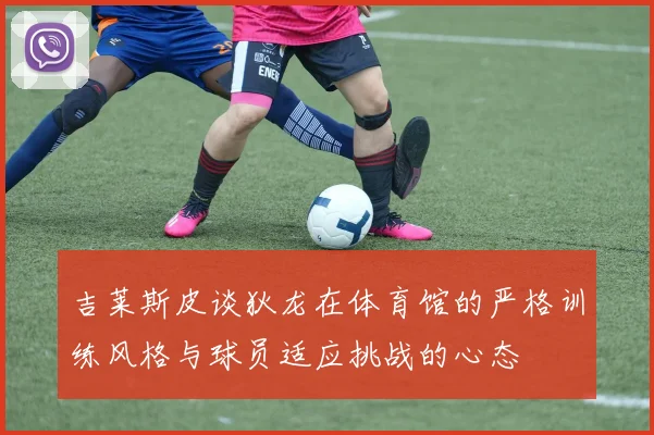 吉莱斯皮谈狄龙在体育馆的严格训练风格与球员适应挑战的心态