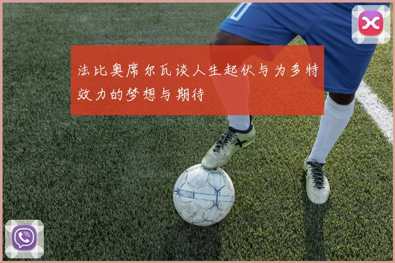 法比奥席尔瓦谈人生起伏与为多特效力的梦想与期待