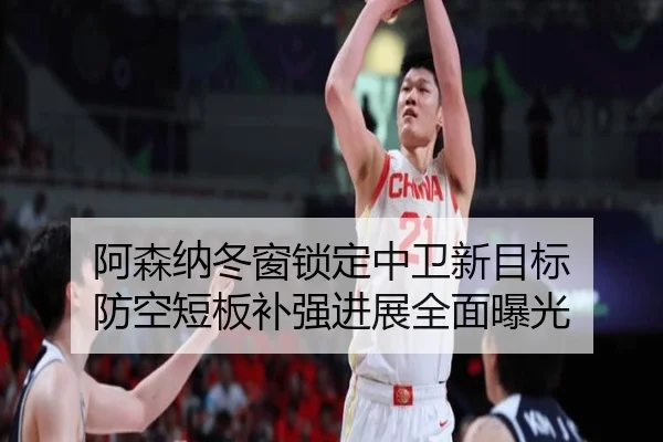 阿森纳冬窗锁定中卫新目标 防空短板补强进展全面曝光 | ZOSPORTS